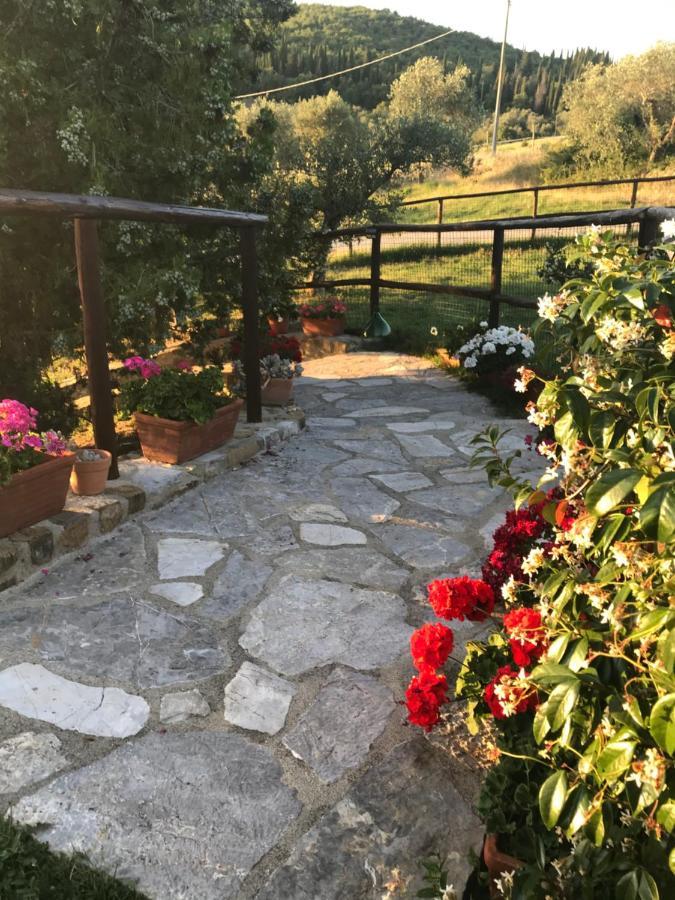 Salto Di Gatto Villa Castellina in Chianti Eksteriør bilde